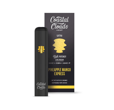 Pineapple Mango Express - Coastal Clouds Disposable