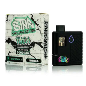 Gelato Mints - STNR Creations Mary Jane Disposable 3G