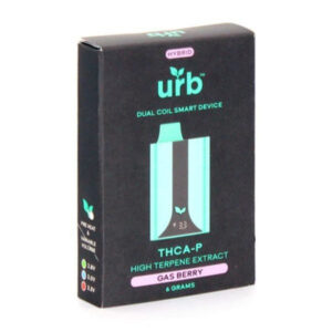 Gas Berry - Urb Smart Device Disposable 6G